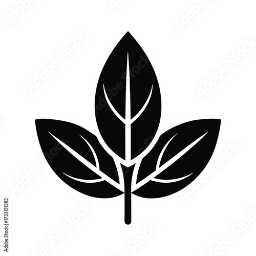 Sage Herbal Icon Vector Illustration