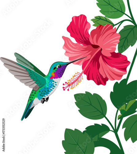 Hummingbird sipping nectar from hibiscus flower, tropical foliage background, vivid colors, detailed nature artwork, vibrant exotic illustration