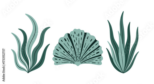 Collection of stylized green underwater plants and a fan shaped shell.