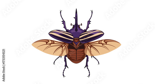 This incredible creature showcases its vibrant purple and brown exoskeleton with its wings spread wide displaying intricate patterns.