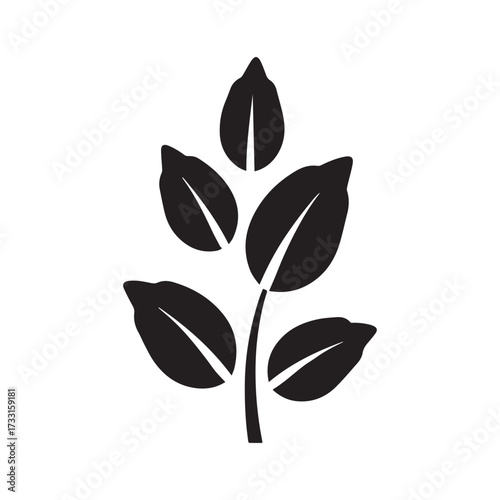 Creative Hidden Coffee Beans in Artistic Black Plant Silhouette