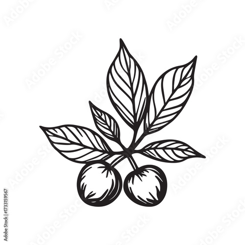 Stylish Vintage Deco Coffee Plant Emblem for Premium Branding