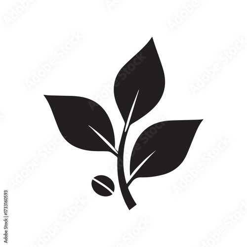 Intricate Circular Coffee Plant Pattern for Elegant Branding