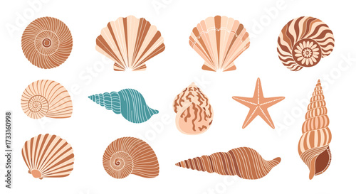 A collection of various pixel art seashell and starfish illustrations on a white background.