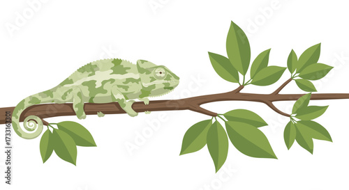 A chameleon patiently waits on a tree branch surrounded by green leaves.