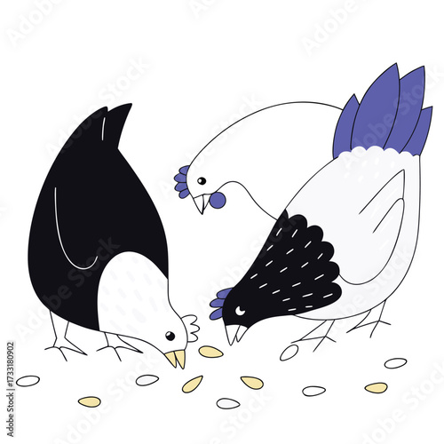 feeding-chickens-vector-isolated-on-pure-white-bac.eps