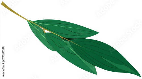 A cluster of vibrant green leaves with delicate veins, attached to a slender stem, set against a stark white background.