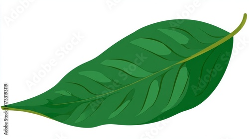 Wallpaper Mural A vibrant green leaf with prominent veins, depicted in a simple, stylized illustration on a white background. Torontodigital.ca
