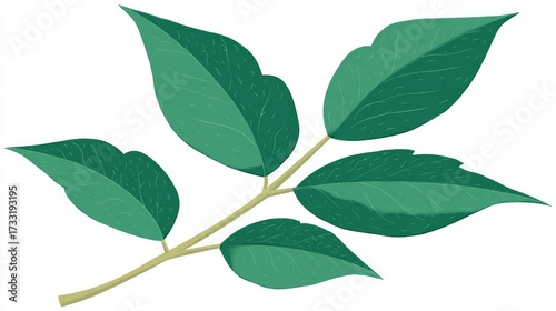 Wallpaper Mural Close-up macro of fresh green leaves and tree branch foliage isolated on a white background for nature and spring growth Torontodigital.ca