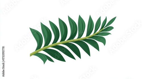 Wallpaper Mural The isolated fresh green fern leaf close-up shows a tropical plant branch on a white background Torontodigital.ca