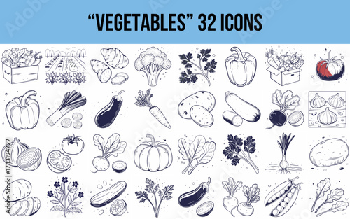 Vegetable icons collection in hand-drawn style on white background  