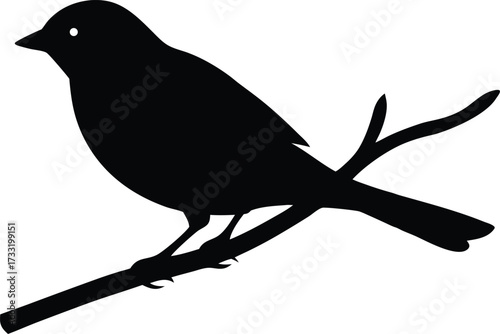 bird on a branch serene nature symbol vector, avian silhouette illustration
