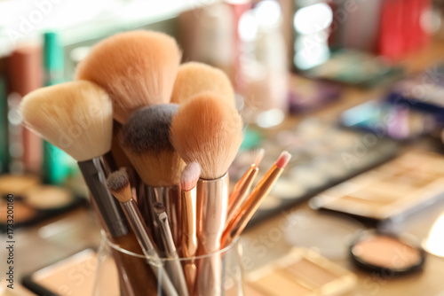 Professional makeup brush s...
