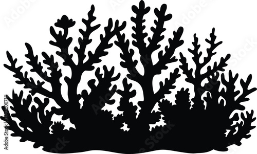 coral reef silhouette vector, ocean ecosystem illustration

