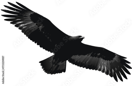 Dynamic silhouette of a majestic bird of prey in flight, wings fully extended. Powerful raptor soaring, isolated on white background.