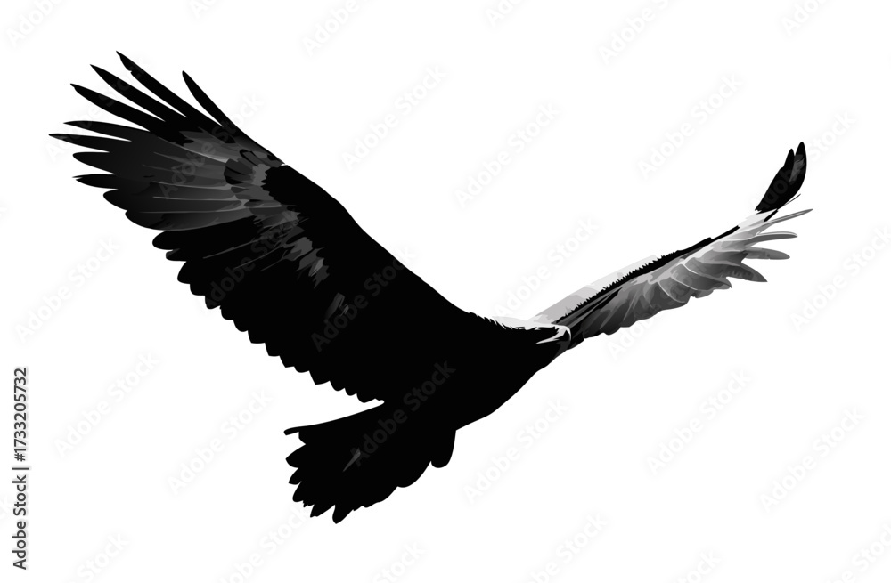 Fototapeta premium Powerful black silhouette of a bird of prey soaring majestically with wide-spread wings against a clean white background, freedom in flight.