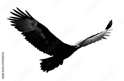Powerful black silhouette of a bird of prey soaring majestically with wide-spread wings against a clean white background, freedom in flight.