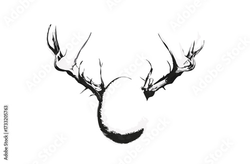 Artistic black and white ink drawing of impressive, gnarled antlers. Hand-drawn minimalist design, abstract nature illustration.