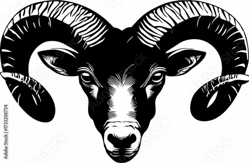 Intricate black and white ram head illustration with majestic curved horns, a powerful and strong animal vector art design