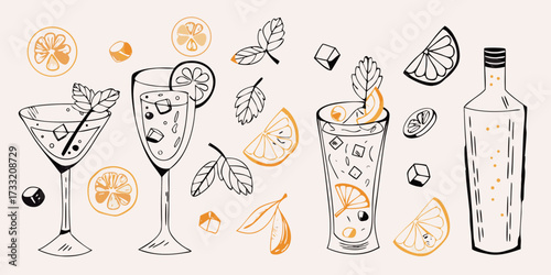 Hand drawn illustration of refreshing summer cocktails with citrus fruits and mint leaves