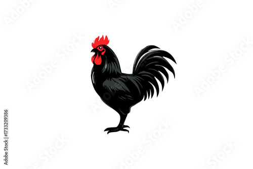 Vibrant black rooster illustration with prominent red comb, farm animal vector graphic, poultry bird standing, majestic fowl artwork