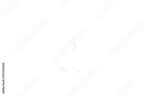 Minimalist bright white abstract background with subtle ghost-like texture and soft light for clean design and copy space