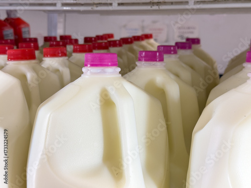 Photos A view of several gallon size jugs of milk, on display at a local grocery store