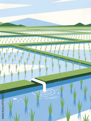 Rice Field Irrigation Nature Illustrator Artwork Design Template Poster
