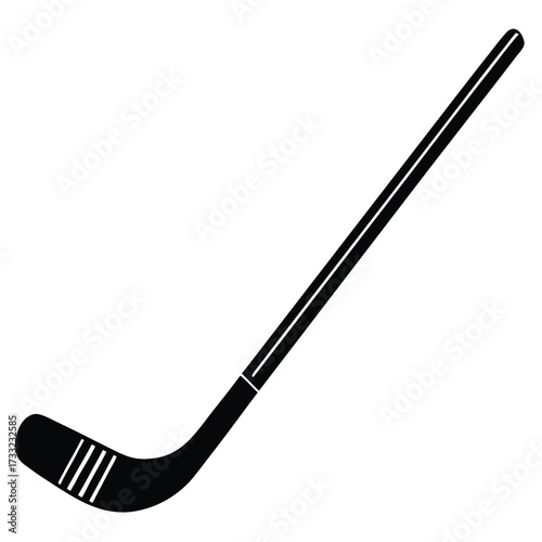 hockey stick and puck