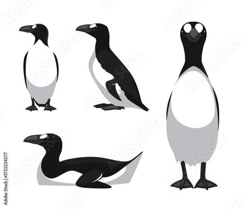 Great Auk Bird Poses Vector Cartoon