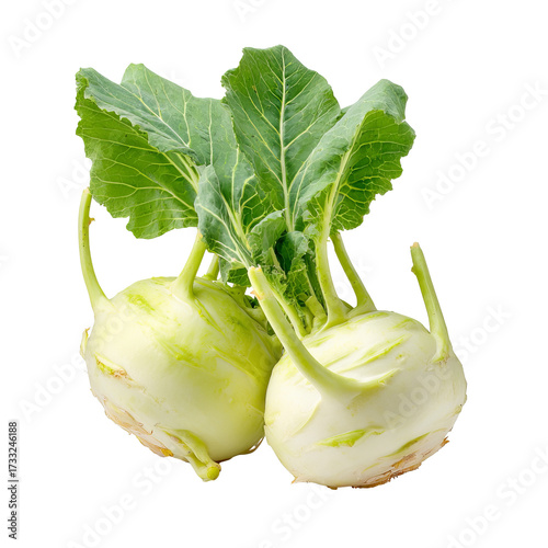 Two kohlrabi heads with bright green leaves