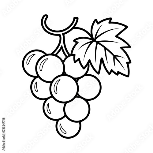 Grapes Cluster Coloring Page for Kids, Fruit Illustration, Printable Vineyard Scene