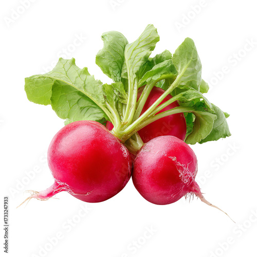 Red radishes with green leaves