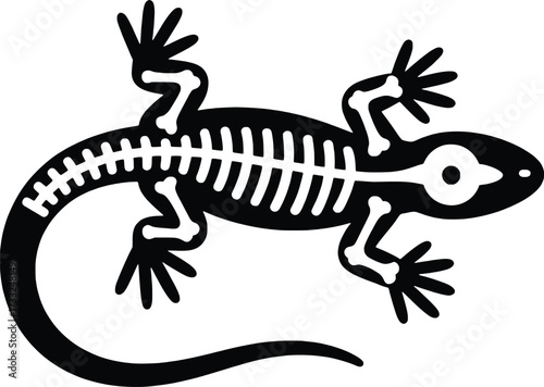 Stylized reptile skeleton silhouette of a lizard for graphic design elements