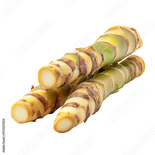 Close-up of stacked, segmented plant stalks