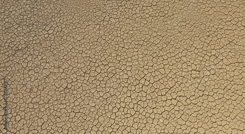 Cracked Earth Texture Background Pattern