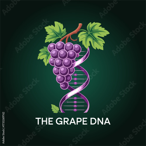 The grape DNA emblem, helix entwined with purple grapes, biotechnology agriculture concept, wine science branding, luminous vector illustration