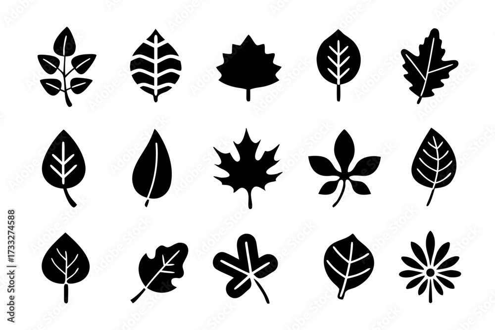 Fototapeta premium Collection of various leaf silhouettes vector set