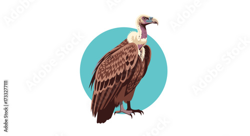 A majestic vulture stands proudly against a turquoise backdrop.