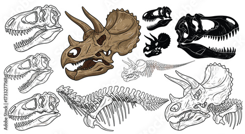 A collection of detailed dinosaur skull and skeletal illustrations in various artistic styles.