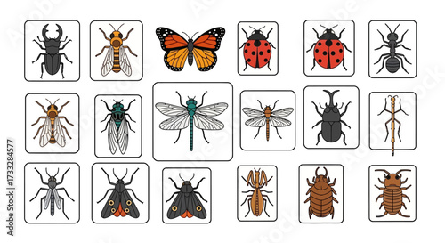 Colorful Hand Drawn Insect Collection Set Illustration.