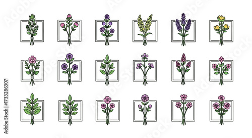 Set of Vintage Hand Drawn Botanical Flower Illustrations.