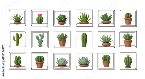A diverse collection of illustrated cacti and succulent plants in pots.