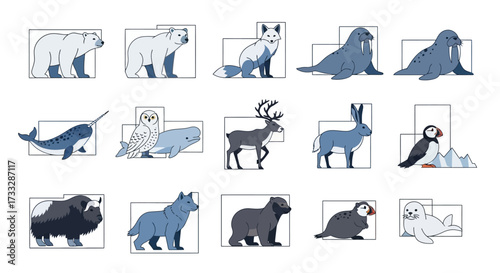 Arctic Animals Illustration - Polar Bears, Walruses, and More.