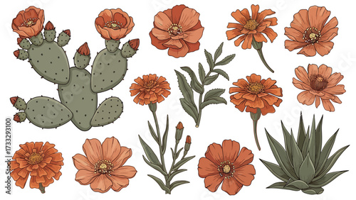 A collection of desert flora including prickly pear cactus, agave, and various orange flowers with green stems and leaves.