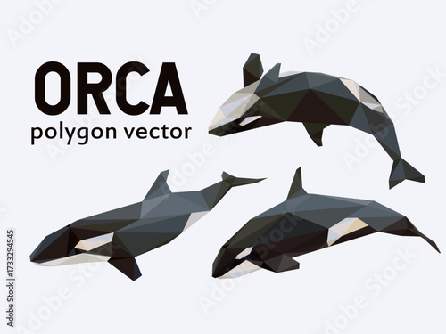 Orca Whale in Polygonal Abstract Vector. Low Poly picture of Orca. Orca Whale in Abstract Illustration. Good  for kids animal book