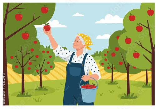 A woman in overalls and a bandana picks ripe red apples from a tree in an orchard, with a bucket at her side.