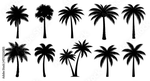 A collection of black silhouettes of various palm trees against a white background.