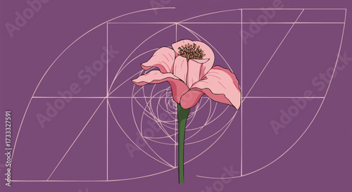 Conceptual design showcasing nature's mathematical elegance a delicate pink flower, perfectly aligned with the golden ratio and Fibonacci spiral, symbolizing organic harmony