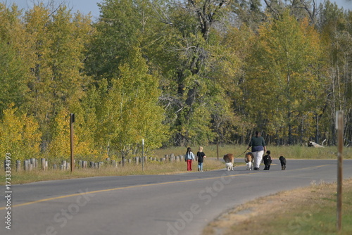 working in the park, outdoors, nature, season, fall